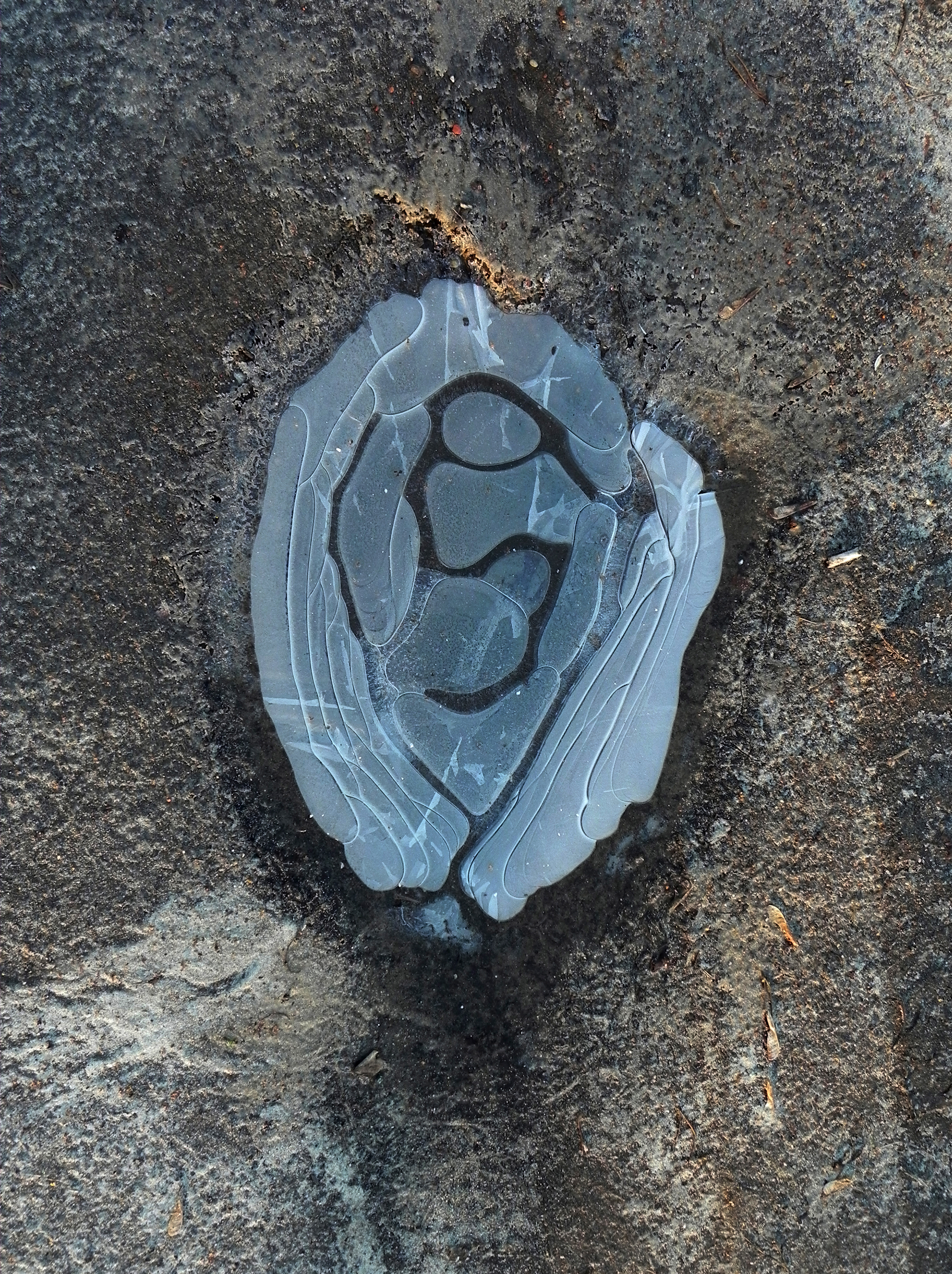 wystaw się w csw 10