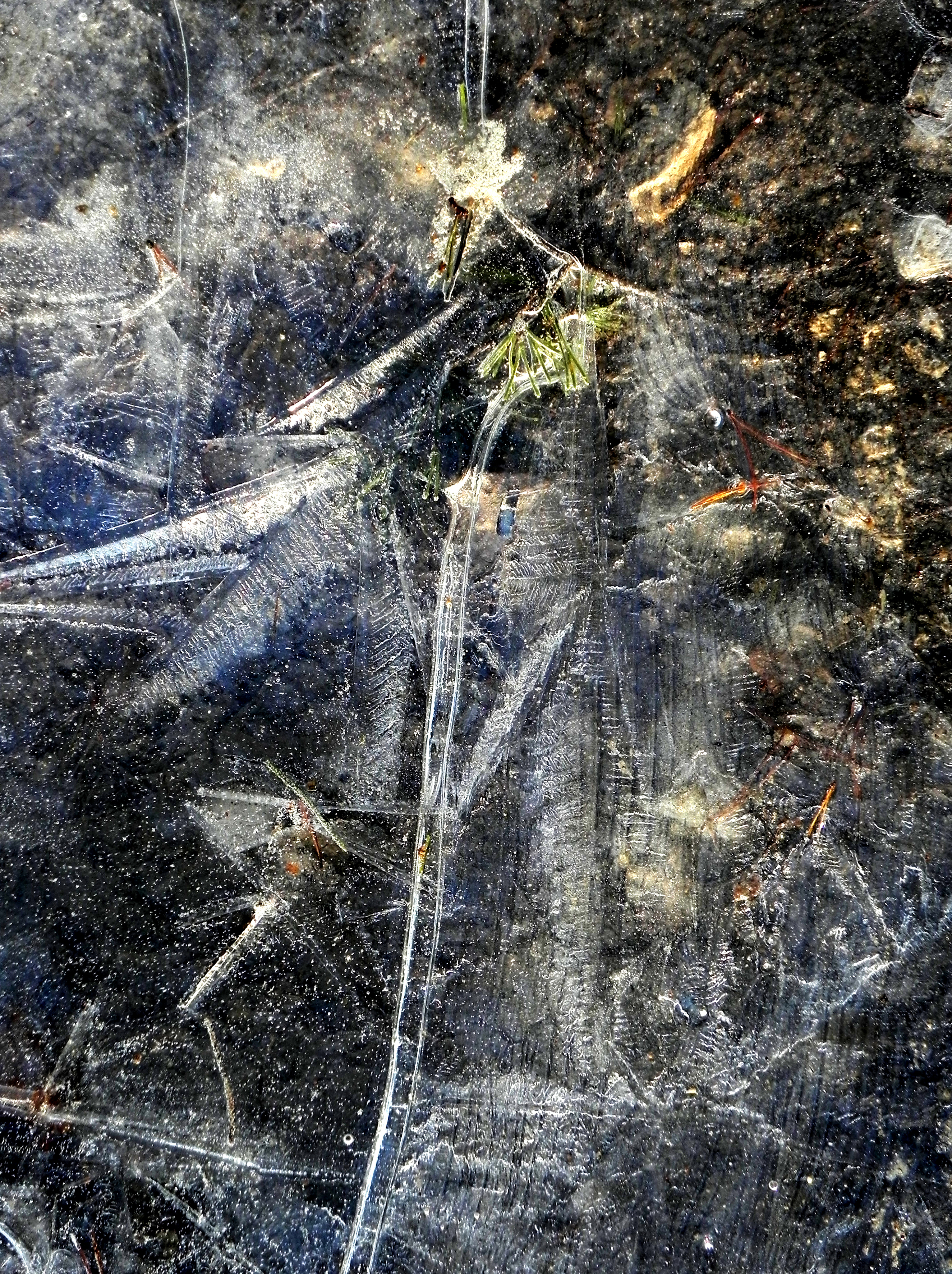 wystaw się w csw 11