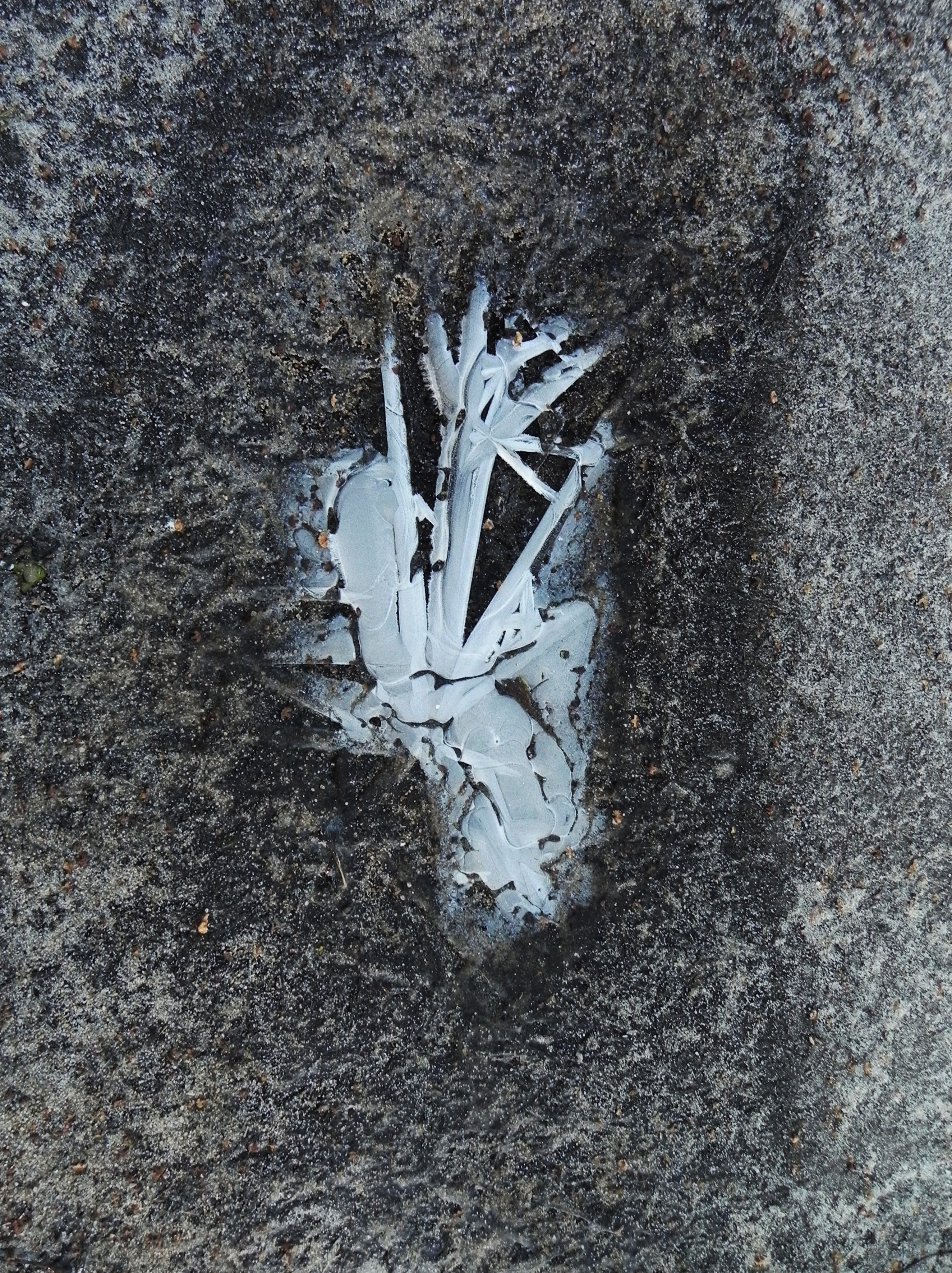 wystaw się w csw 12