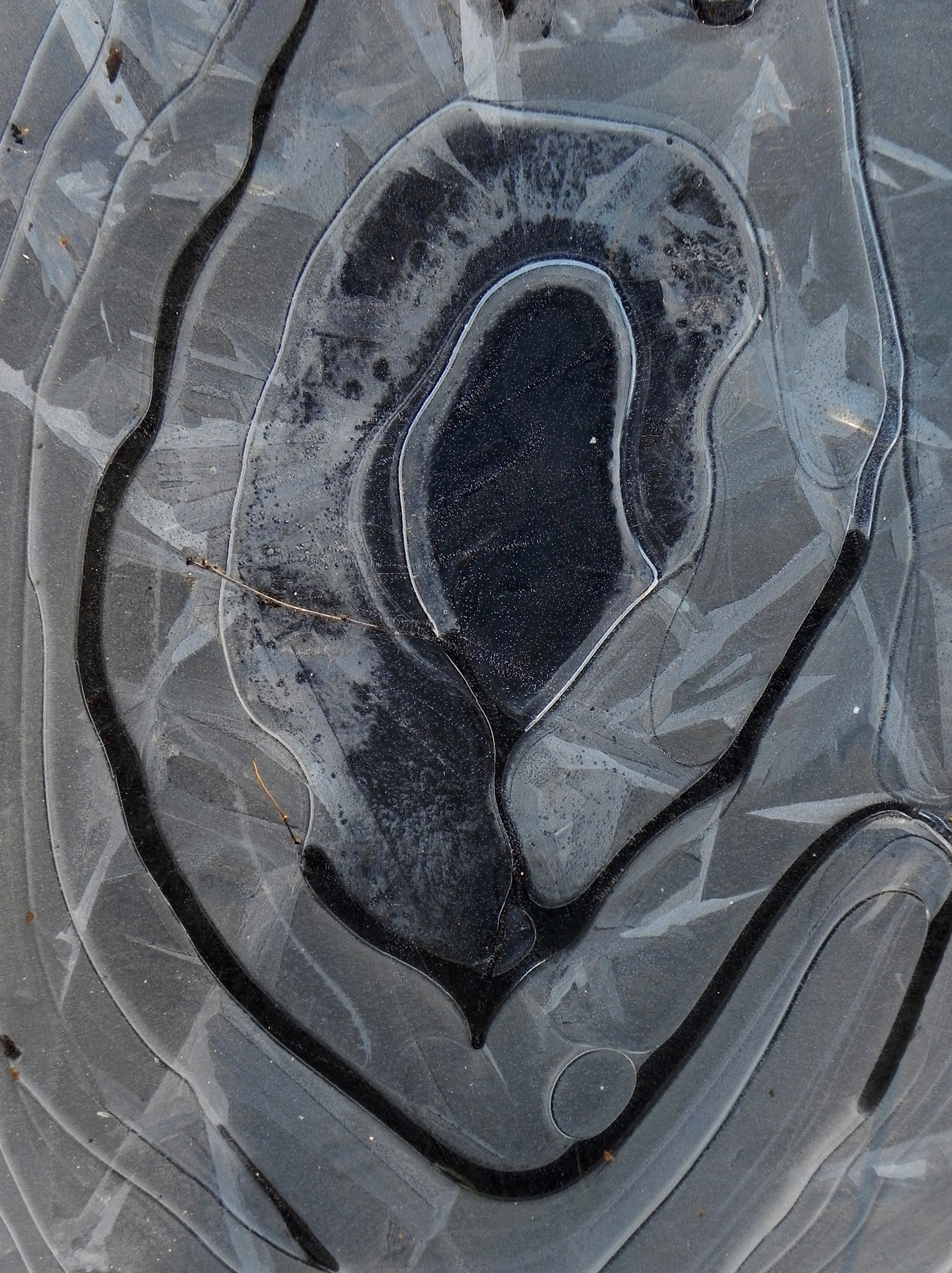 wystaw się w csw 13